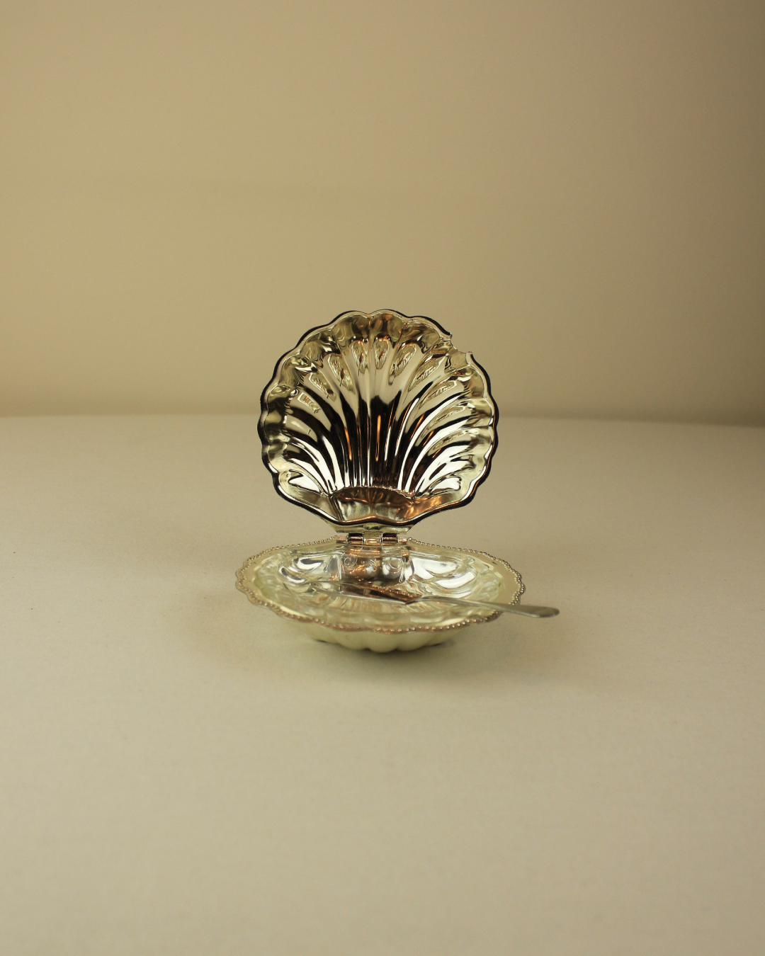 CHAT AU BEURRE DE COQUILLE