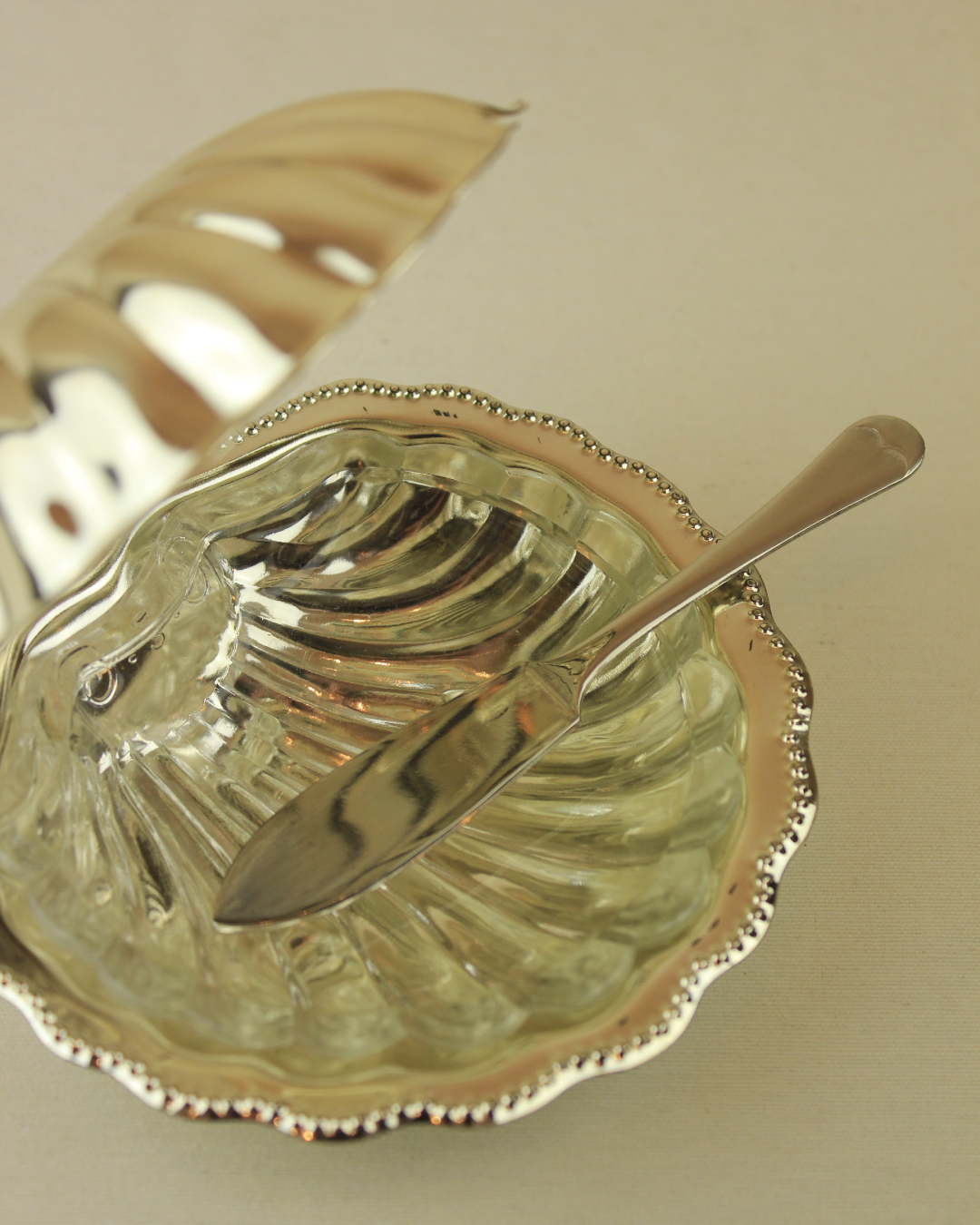 CHAT AU BEURRE DE COQUILLE