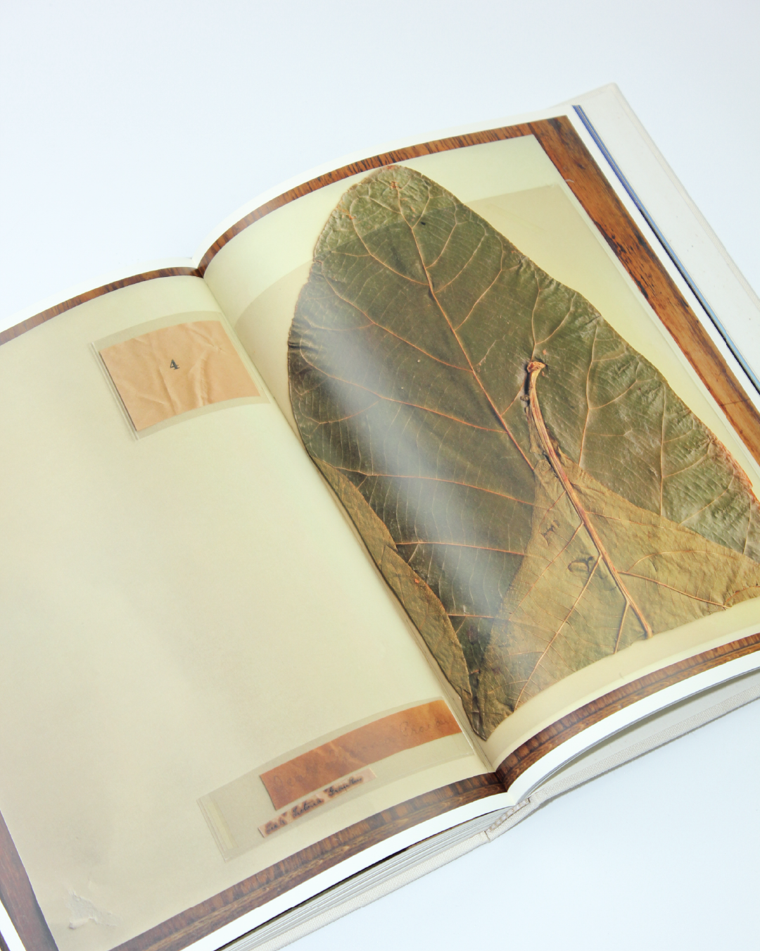 Pilgrimage by Annie Leibovitz