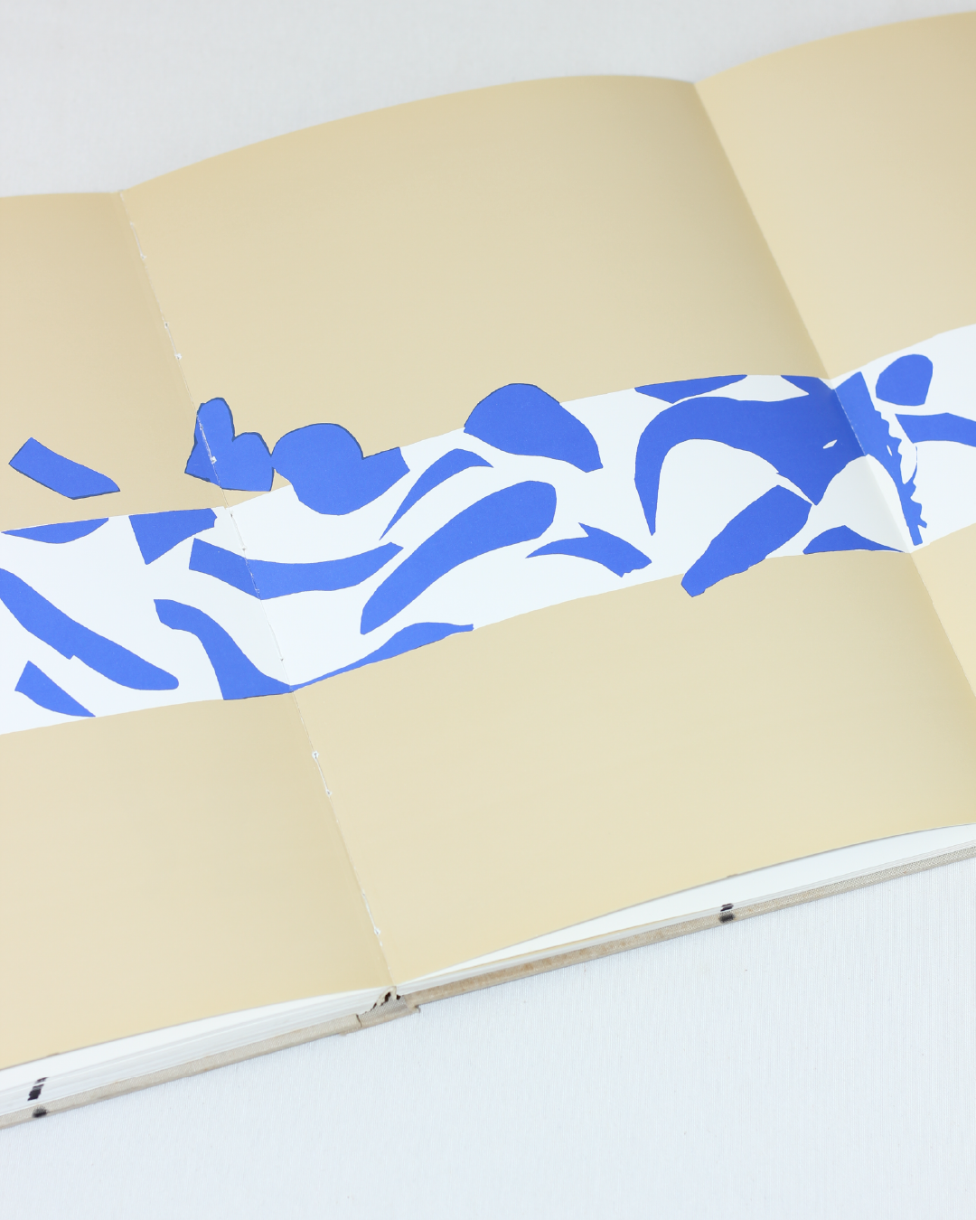 MATISSE PAPER CUTOUTS
