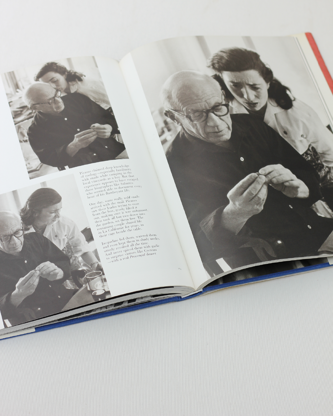 Picasso and Jacqueline