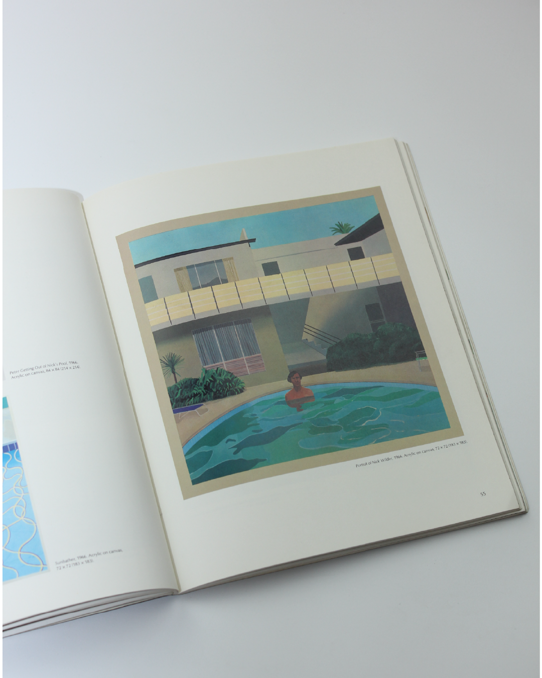 Pictures by David Hockney