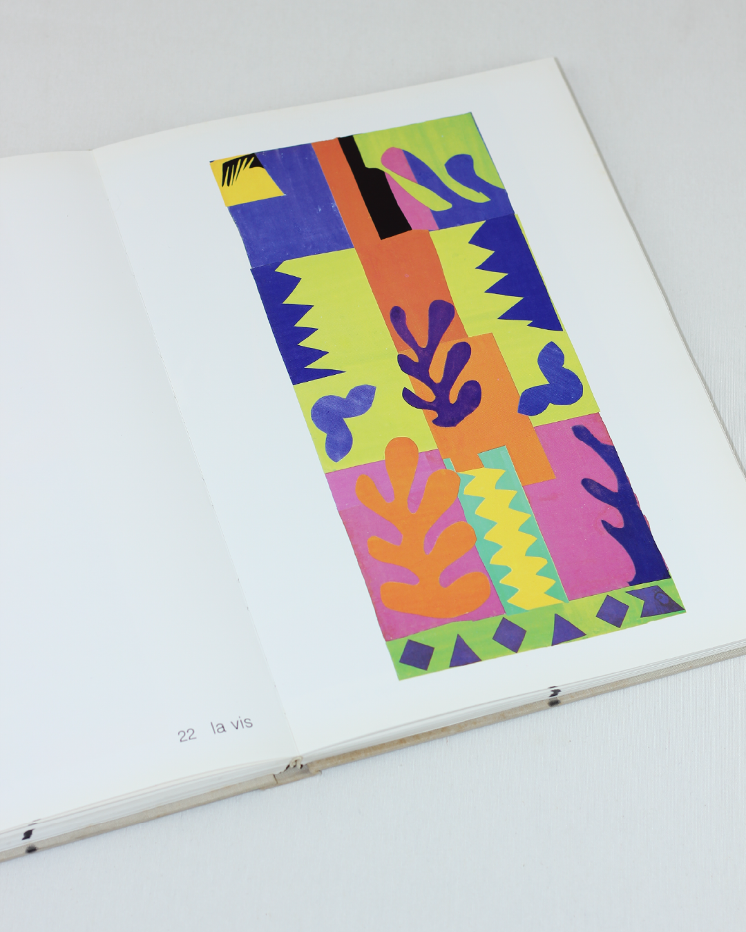 MATISSE PAPER CUTOUTS