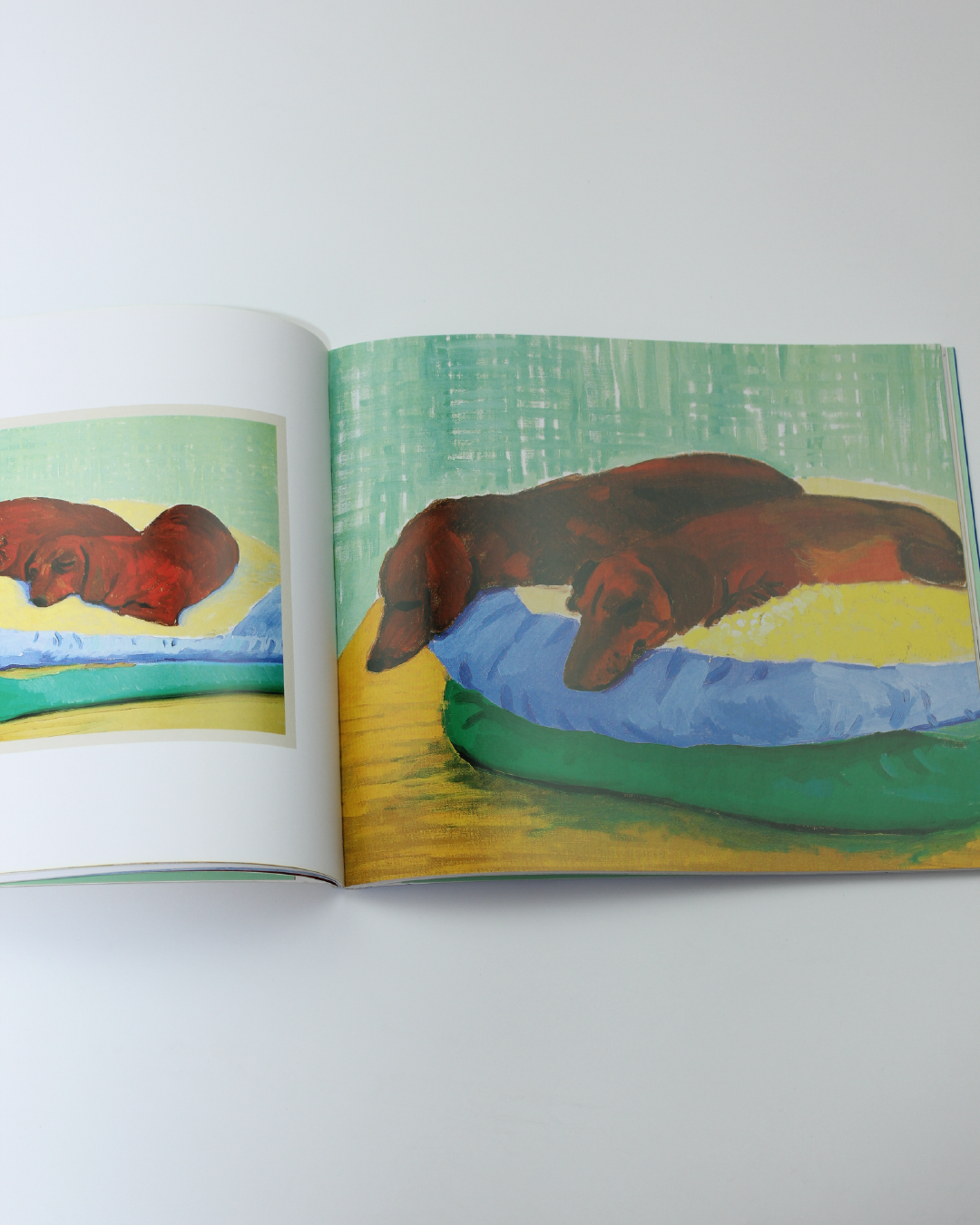 David Hockney's Dog Days