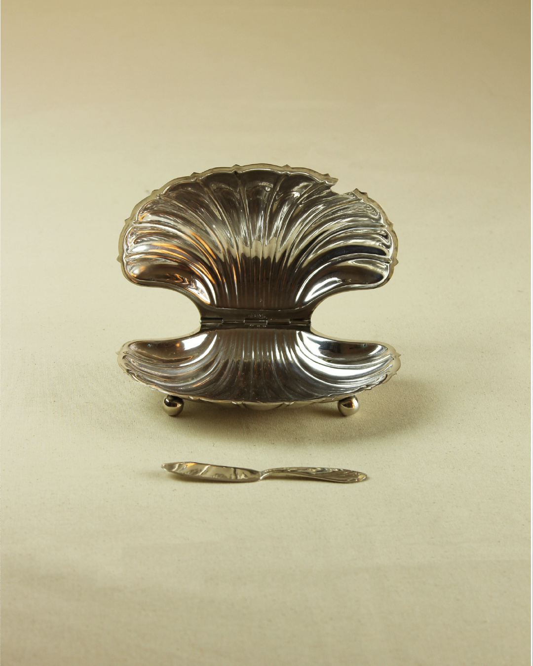 Mantequillero Concha