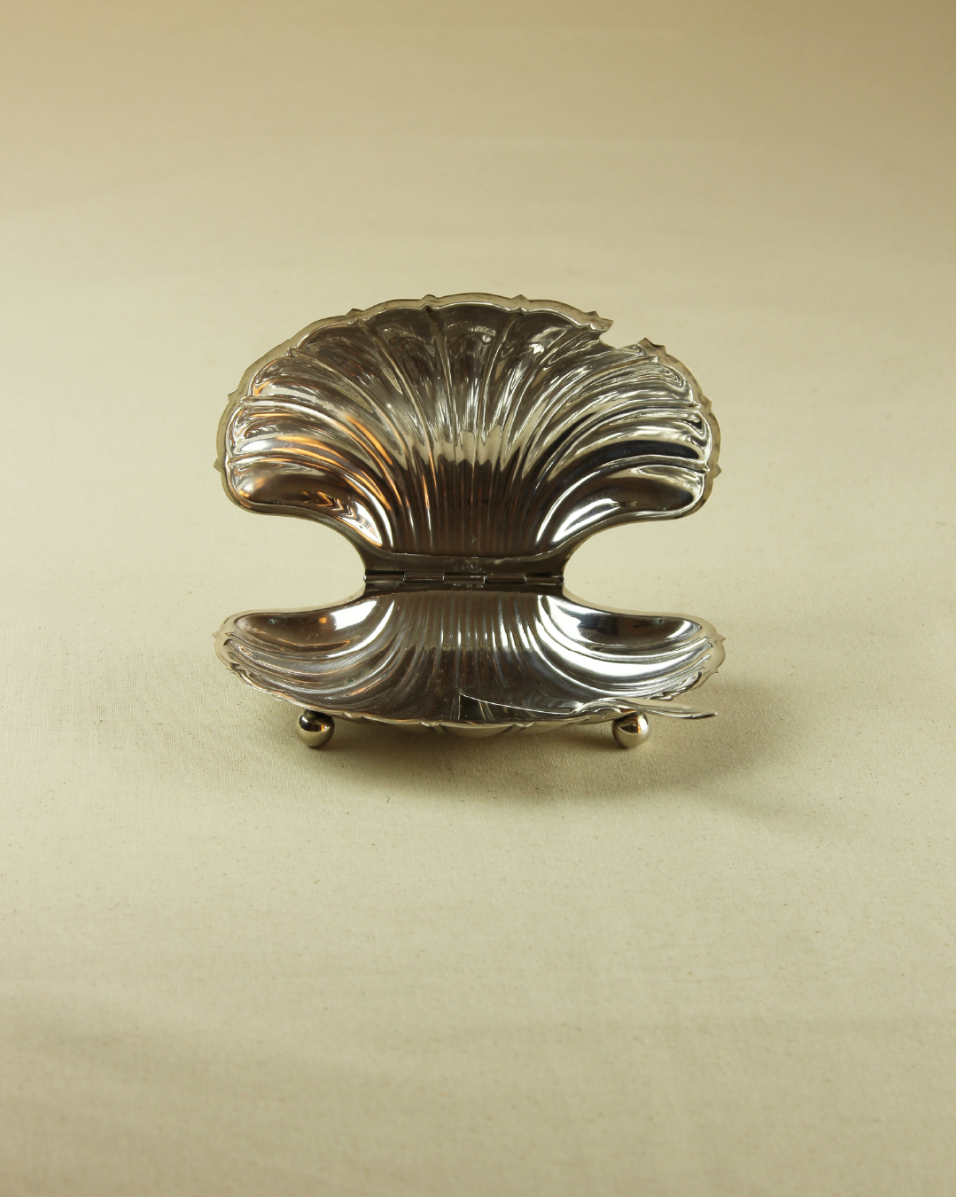 Mantequillero Concha