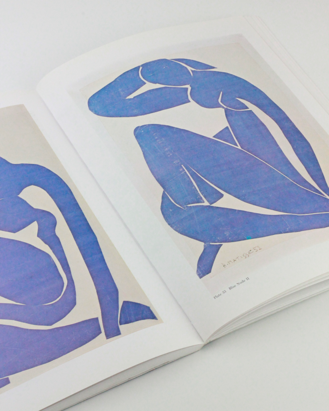 The Cut Outs of: Henri Matisse