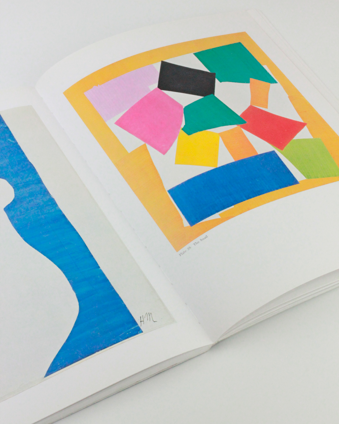 The Cut Outs of: Henri Matisse